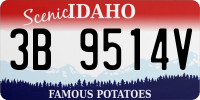 ID license plate 3B9514V