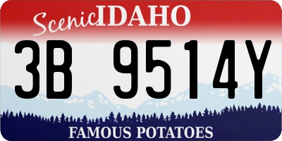ID license plate 3B9514Y