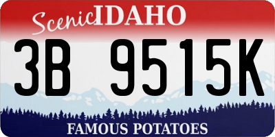 ID license plate 3B9515K
