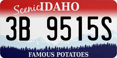 ID license plate 3B9515S
