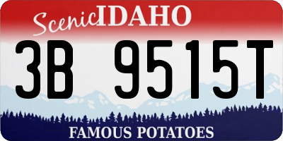 ID license plate 3B9515T