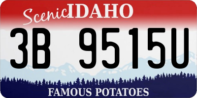 ID license plate 3B9515U