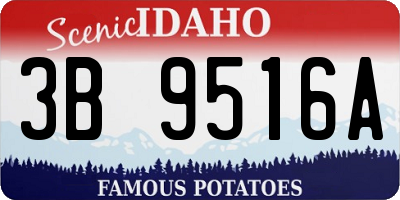ID license plate 3B9516A