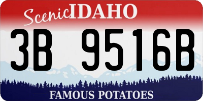 ID license plate 3B9516B