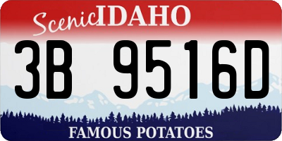ID license plate 3B9516D