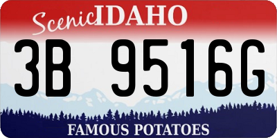 ID license plate 3B9516G