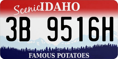 ID license plate 3B9516H