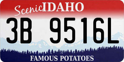 ID license plate 3B9516L
