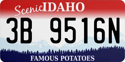 ID license plate 3B9516N