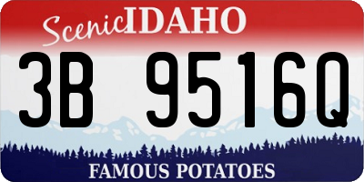 ID license plate 3B9516Q