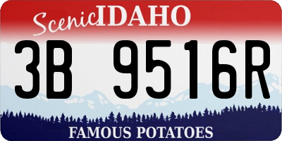 ID license plate 3B9516R