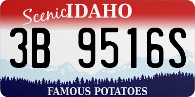 ID license plate 3B9516S