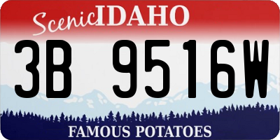 ID license plate 3B9516W