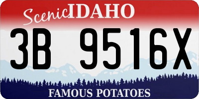 ID license plate 3B9516X