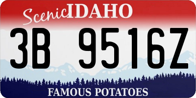 ID license plate 3B9516Z