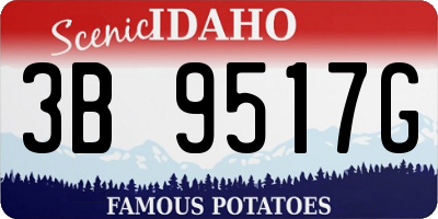 ID license plate 3B9517G
