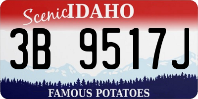 ID license plate 3B9517J