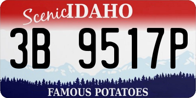 ID license plate 3B9517P