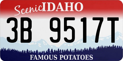ID license plate 3B9517T