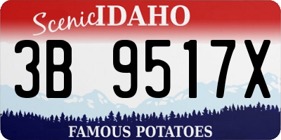 ID license plate 3B9517X