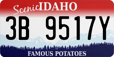 ID license plate 3B9517Y