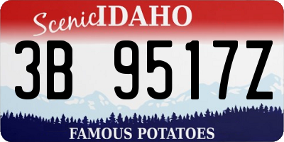 ID license plate 3B9517Z