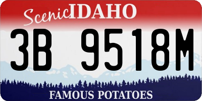 ID license plate 3B9518M
