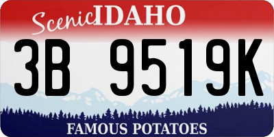 ID license plate 3B9519K