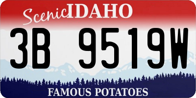 ID license plate 3B9519W