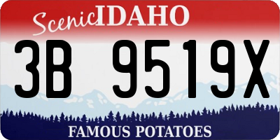 ID license plate 3B9519X