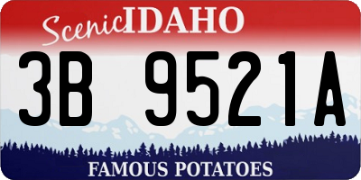 ID license plate 3B9521A