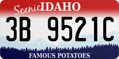 ID license plate 3B9521C