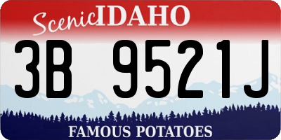 ID license plate 3B9521J