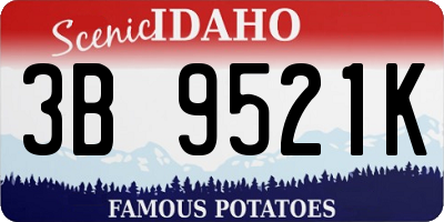 ID license plate 3B9521K