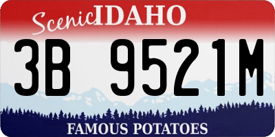 ID license plate 3B9521M