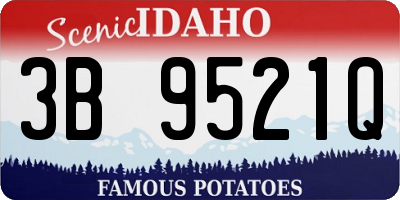 ID license plate 3B9521Q