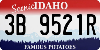 ID license plate 3B9521R