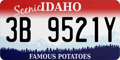 ID license plate 3B9521Y