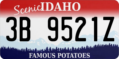 ID license plate 3B9521Z