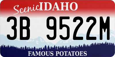 ID license plate 3B9522M