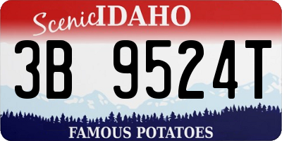 ID license plate 3B9524T