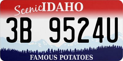 ID license plate 3B9524U