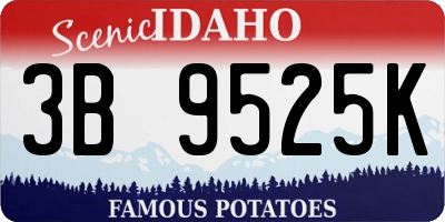 ID license plate 3B9525K