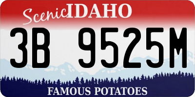 ID license plate 3B9525M