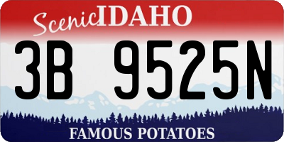 ID license plate 3B9525N