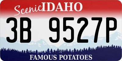ID license plate 3B9527P