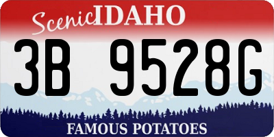ID license plate 3B9528G