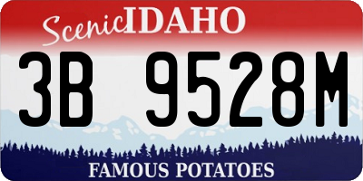 ID license plate 3B9528M