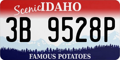 ID license plate 3B9528P