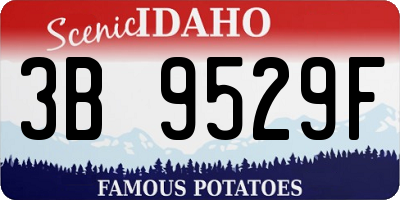 ID license plate 3B9529F